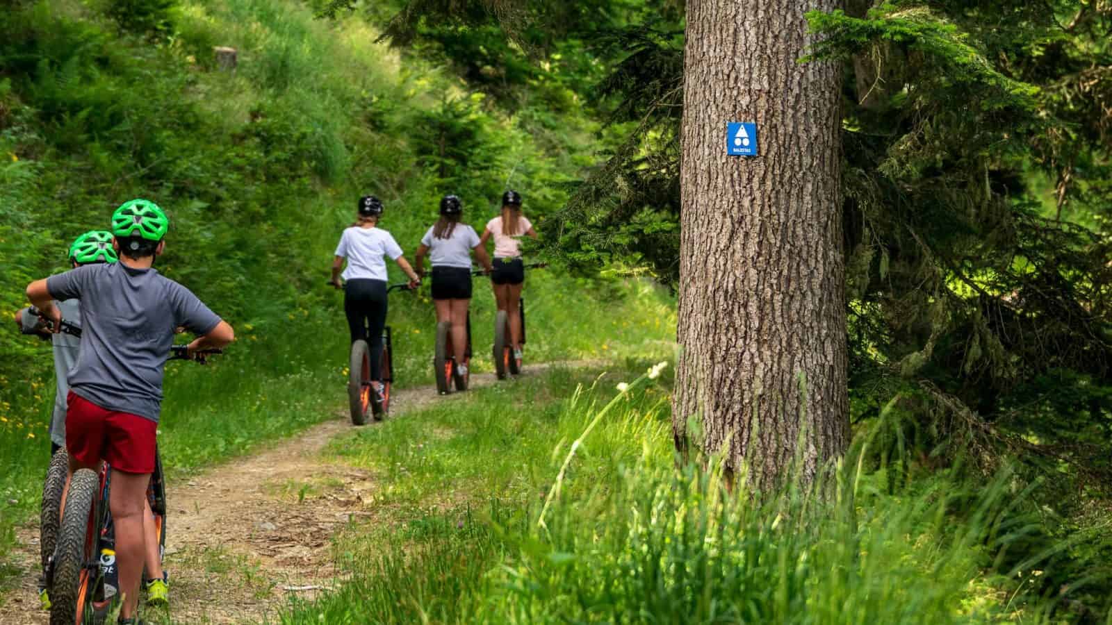 descente en trottinette enfants nature